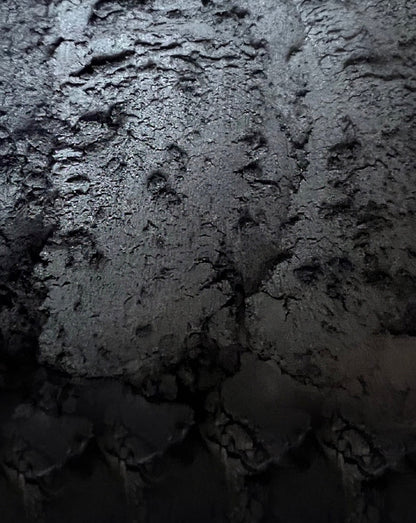 Black Shimmer