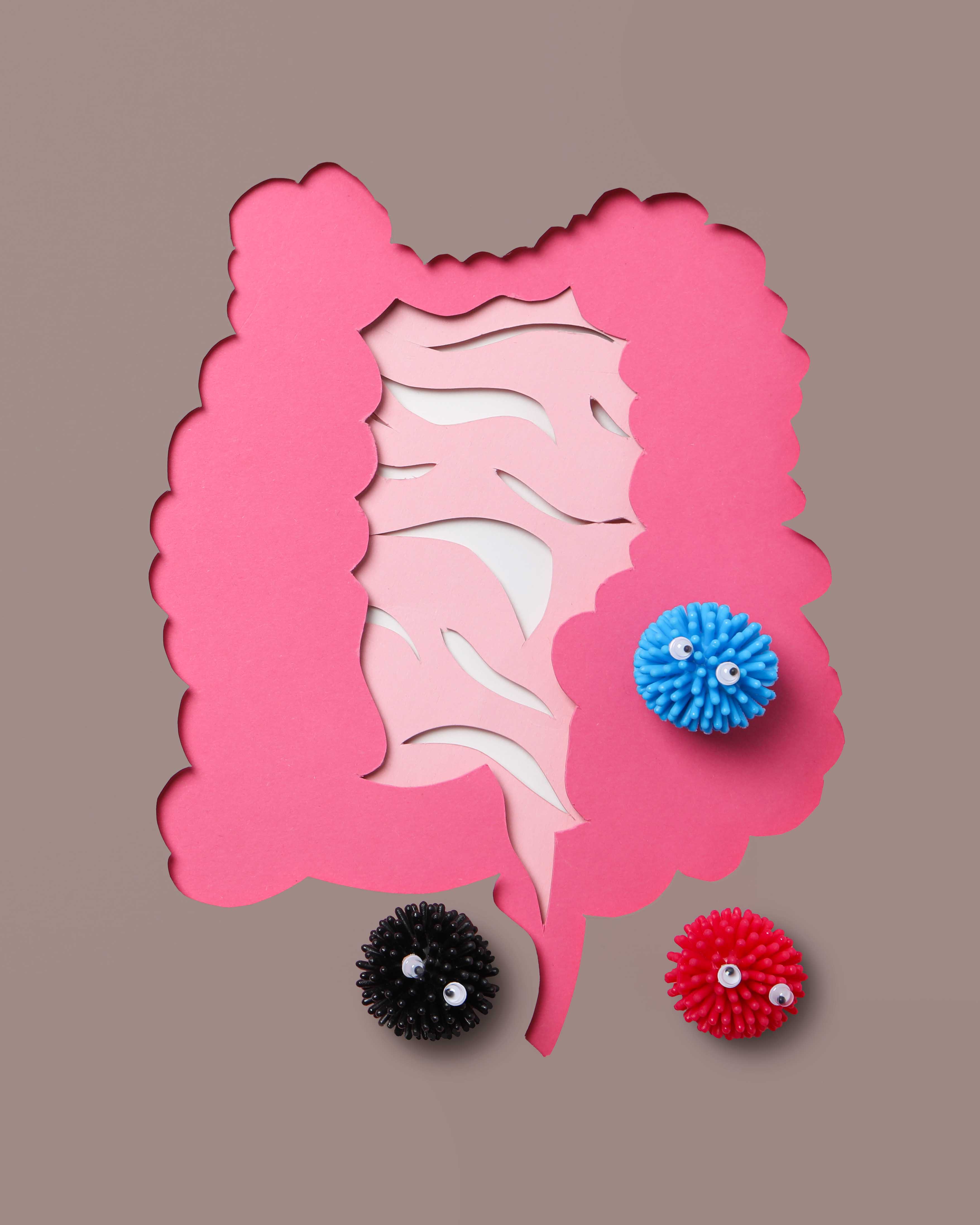 Comprehensive Stool Analysis with Parasitology Fecal Test